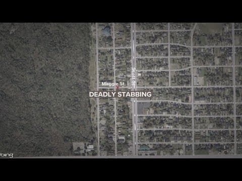Police investigating deadly stabbing in south Houston