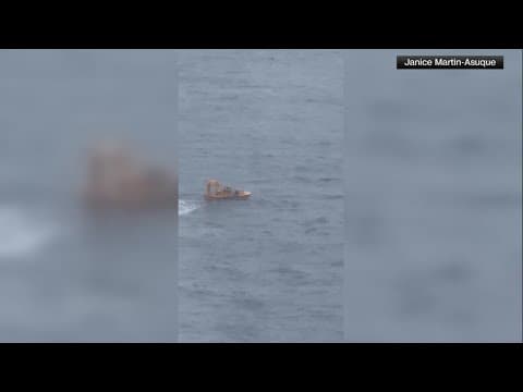 New video shows a Disney cruise line rescuing a father and daughter who fell overboard