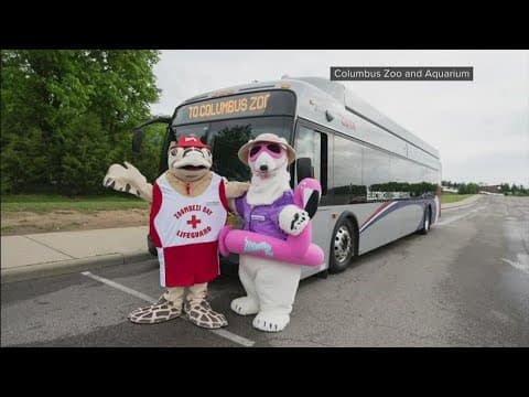 Zoo Bus set to return to Columbus Memorial Day weekend