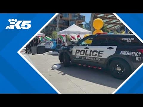 Microsoft employee protests lead to 18 arrests as company reviews its work with Israel's military