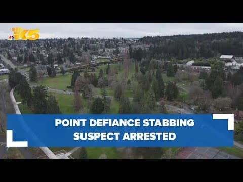 Suspect arrested in Point Defiance stabbing
