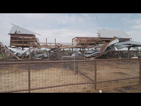 'Widespread damage' reported in Gunter after storms, officials say