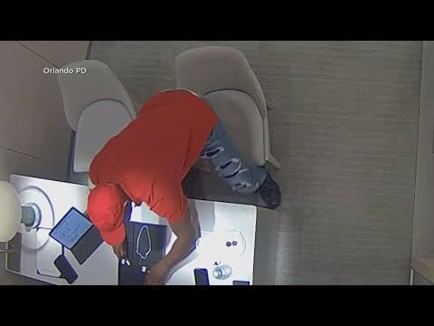 Alleged thief ingests $800K in jewelry