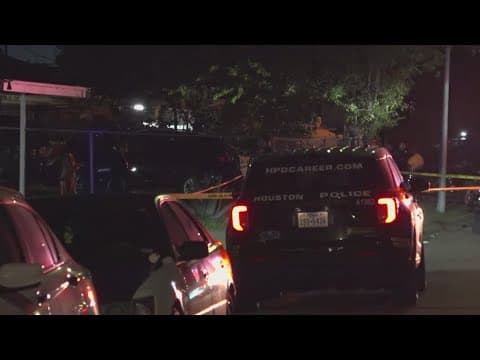 HPD: Man shot to death in his southeast Houston neighborhood | Pregnant wife tried to perform CPR