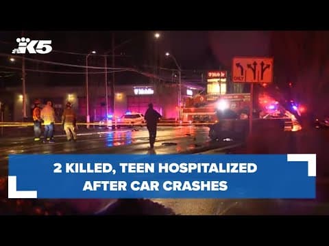 2 killed, teen hospitalized after car crashes, catches on fire