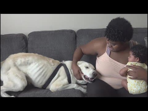 Columbus dog owner recommends microchips after device helps her reunite with lost pet