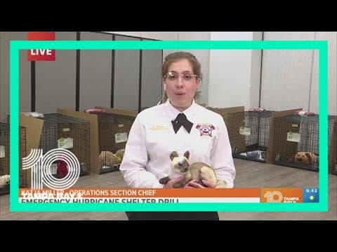 Hillsborough County leaders perform emergency hurricane shelter drill