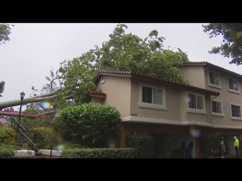 Aftermath of Tropical Storm Hilary