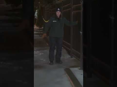 Ice storm freezes Portland roads, sidewalks