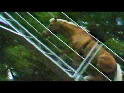 Monkey riding a horse steals the show on the Fourth in Texas (1978)