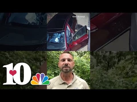 Bears looking for food and mates in East TN