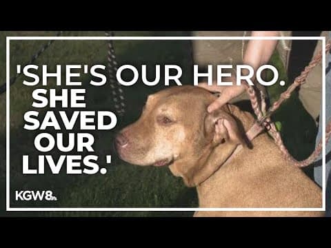 Dog helps owners during home invasion in Clark County