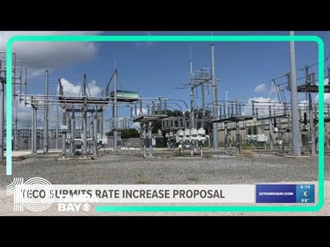 TECO submits rate increase proposal