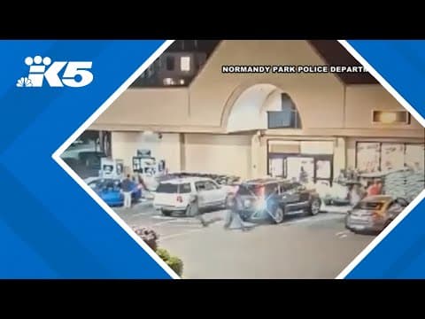 Watch suspect trigger sprinklers and fall from crawl space at Normandy Park store