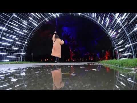 Spectacular festive light show twinkles at London's Kew Gardens