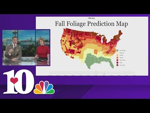 Fall foliage peaking in some areas of East Tennessee