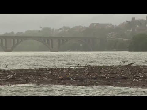 'Trash Island' | Potomac River cleanup after Tropical Storm Debby