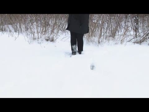 Snow covers side streets, roads in Indianapolis