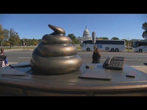 'Poop on Nancy Pelosi's desk' statue in front of the U.S. Capitol