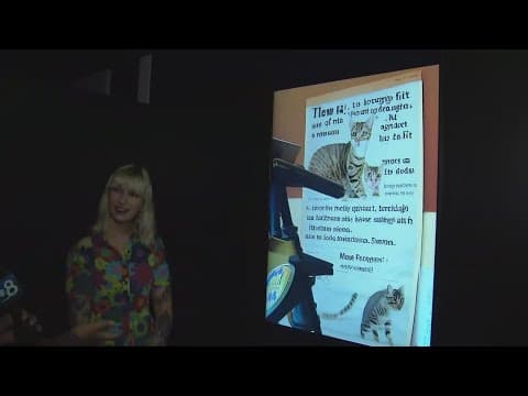 Previewing WNDR Museum which is set to open in San Diego on January 11