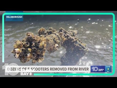 32 electric scooters removed from Hillsborough River in annual cleanup
