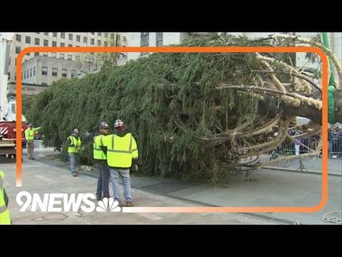 Rockefeller Center Christmas tree arrives in New York City