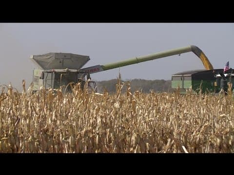 Endurance Farms owners say harvest conditions are ideal for this time of year