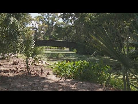 Planning phase complete for City Park future in New Orleans