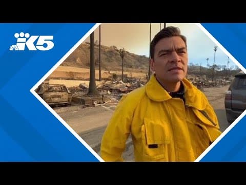 Deadly wildfires are 'redesigning the landscape of LA,' fire official says