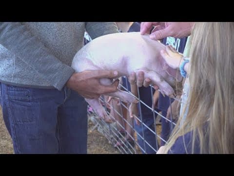 Farm Day in Jefferson County teaches lessons