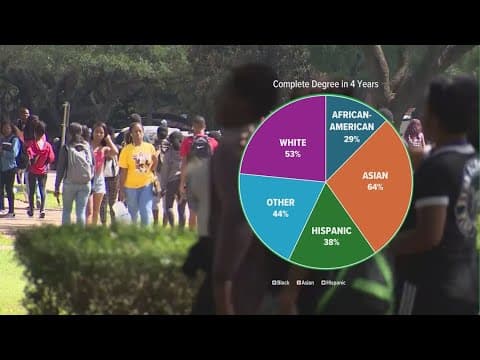 Texas Higher Education Coordinating Board releases study on impact of state's DEI ban