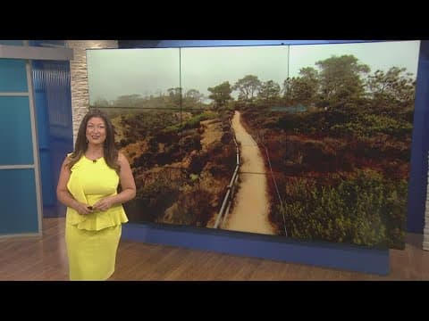 Working For Our Planet | Take a hike! Explore, learn from, and listen to nature