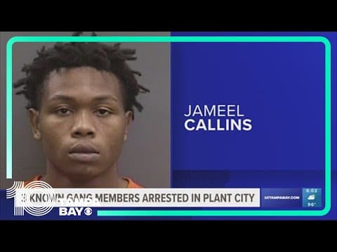 Hillsborough deputies arrest gang members with marijuana and converted 'machine gun'