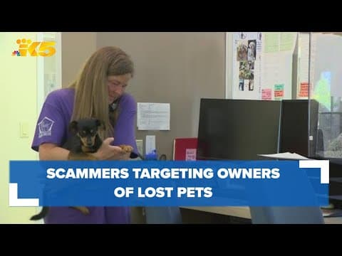 Scammers are targeting owners of lost pets
