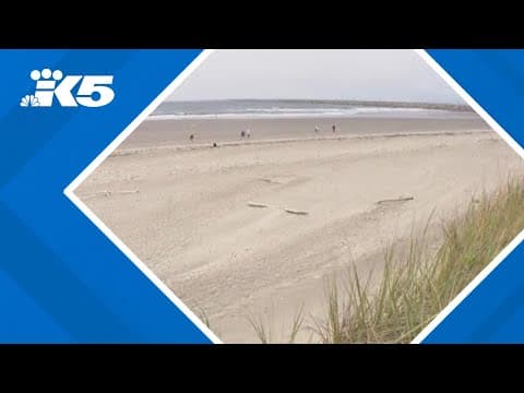 Tsunami advisory sends Washington coast visitors scrambling