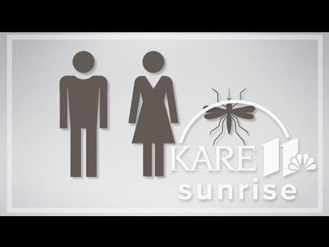 What attracts mosquitoes?