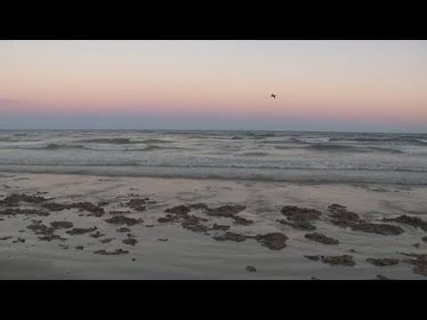 Galveston residents react to Trump wanting to rename the Gulf of Mexico
