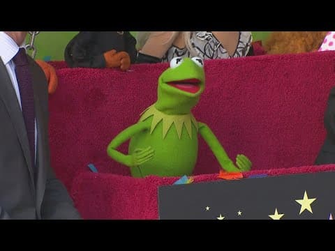 Kermit the Frog prepares for UMD's graduation