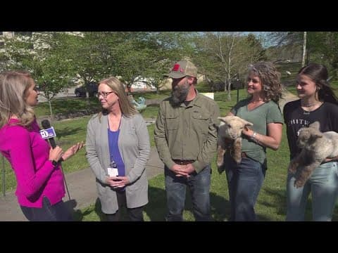 How the Mosaic Arts Festival benefits the community and education