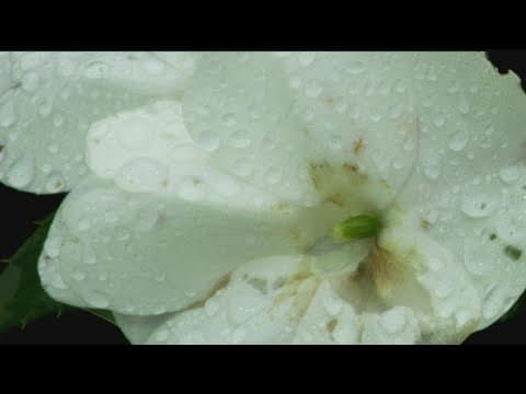 Drought lingers on across MN despite Saturday showers