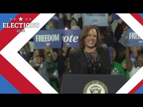 Elections 2024: 21 days to go until the presidential election