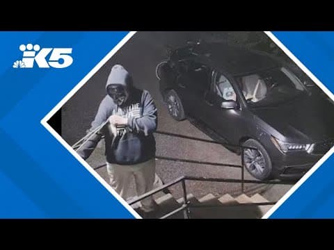 Kitsap County woman found guilty of 16 burglary counts