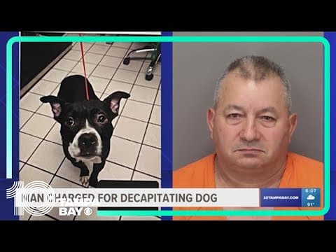 Dozens demonstrate as accused dog killer's motion to suppress evidence is denied