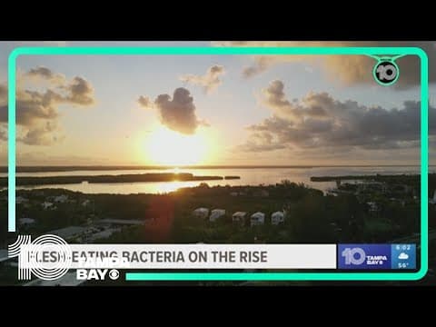 Flesh-eating bacteria cases on the rise in Florida; state officials monitoring after Helene, Milton
