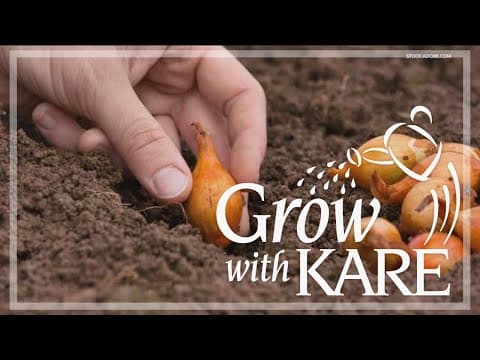 Grow with KARE: Seeds to plant outside now