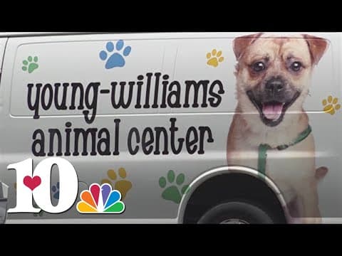 YWAC to help take in animals evacuated from Los Angeles fire