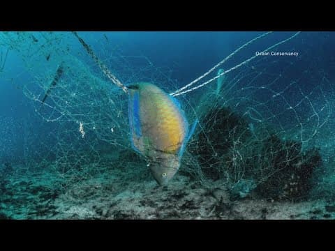 'Ghost Gear' is polluting the Chesapeake Bay and oceans around the world