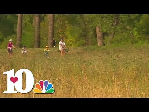 Canadian wildfires, weather changes could lead to worse allergy season