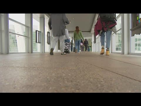 How to survive the summer travel season