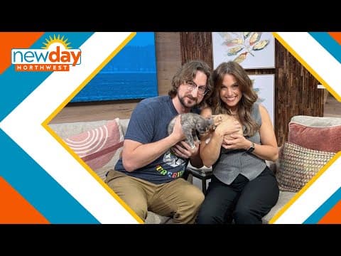 Seattle Humane has special offer for pets who need help getting adopted - New Day NW